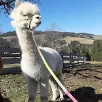 Zukaunighof Vakantieboerderij *