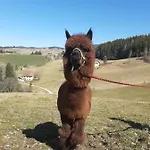 Vakantieboerderij Zukaunighof Diex