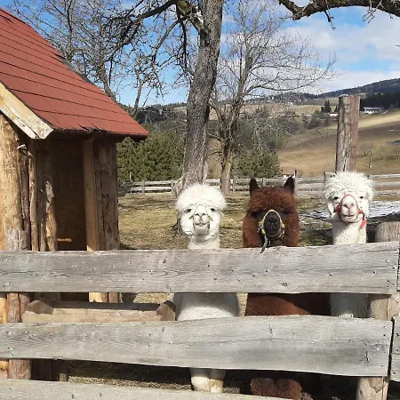 Zukaunighof Farm stay