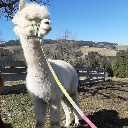 Zukaunighof Farm stay *