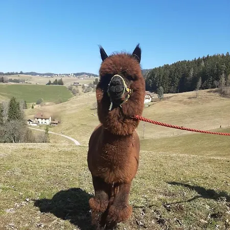 Farm stay Zukaunighof Diex