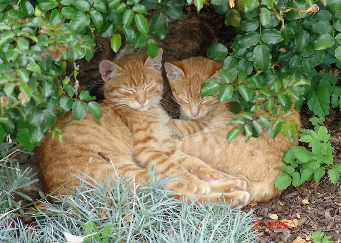 Gospodarstwo agroturystyczne Zukaunighof *