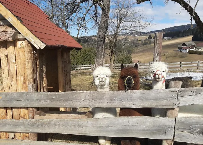 Zukaunighof Gospodarstwo agroturystyczne