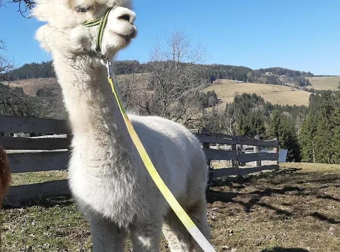 Zukaunighof Gospodarstwo agroturystyczne *