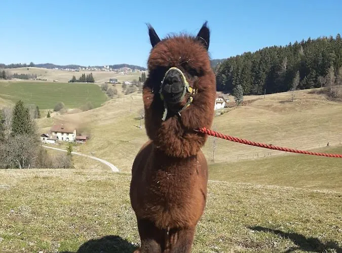 Gospodarstwo agroturystyczne Zukaunighof Diex