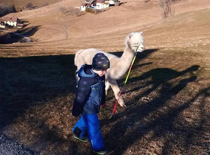 Zukaunighof Gospodarstwo agroturystyczne Diex