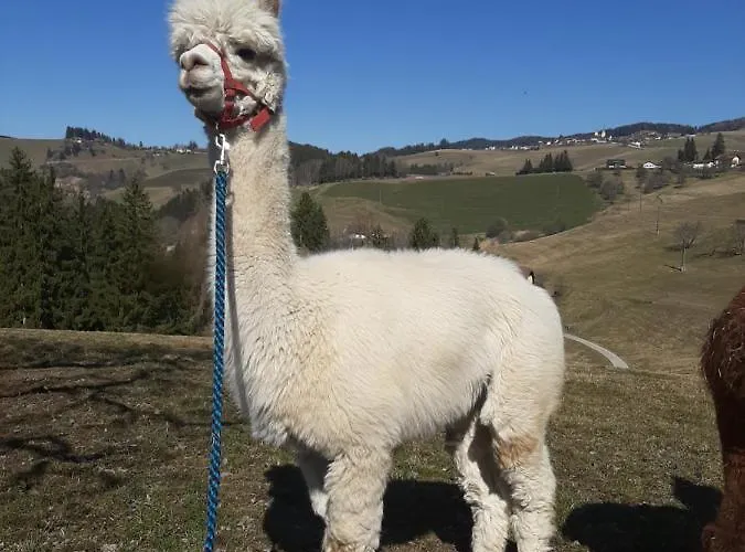 Gospodarstwo agroturystyczne Zukaunighof *