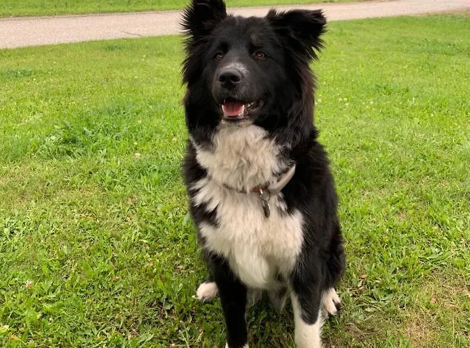 Zukaunighof 农家乐